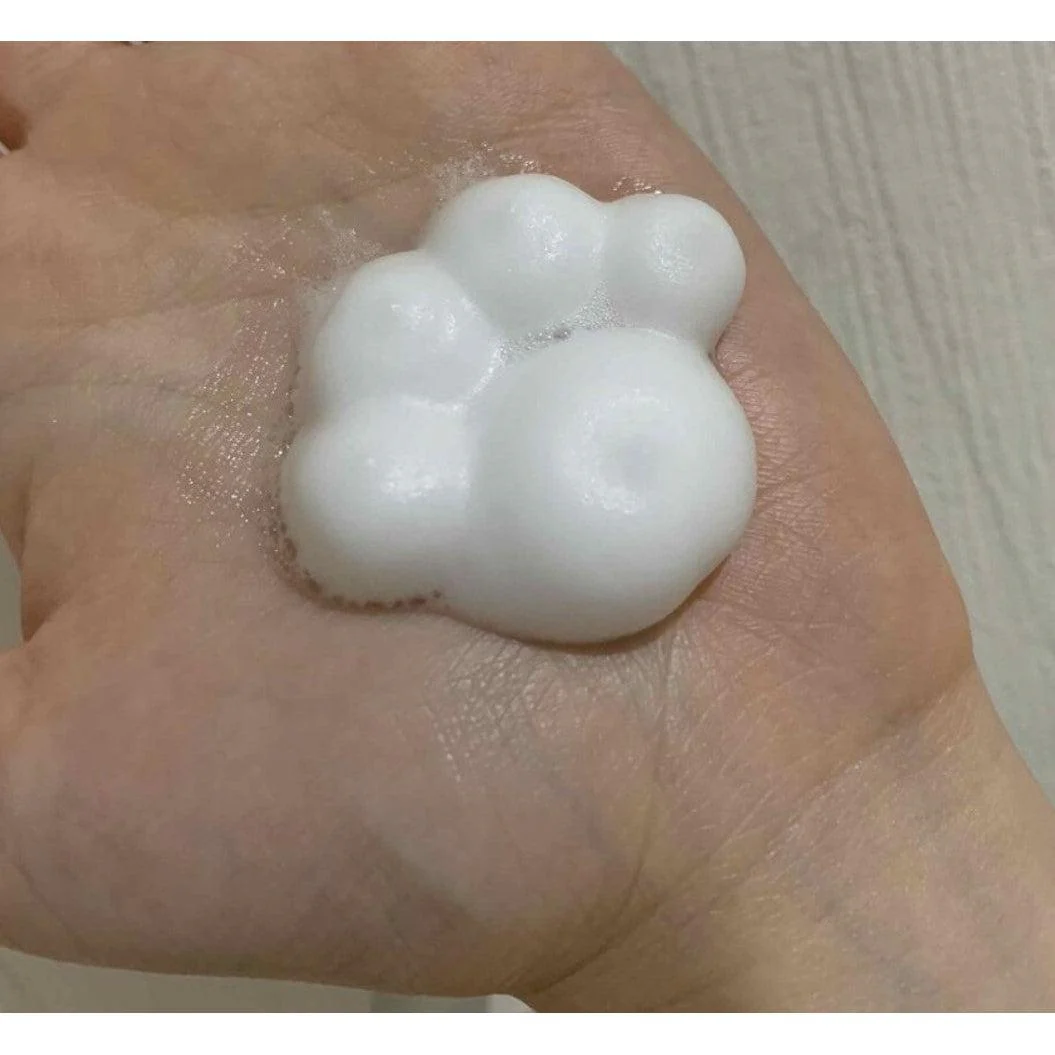 Bioré Paw Pad Shaped Foaming Hand Wash Citrus Scent 240ml - Image 2