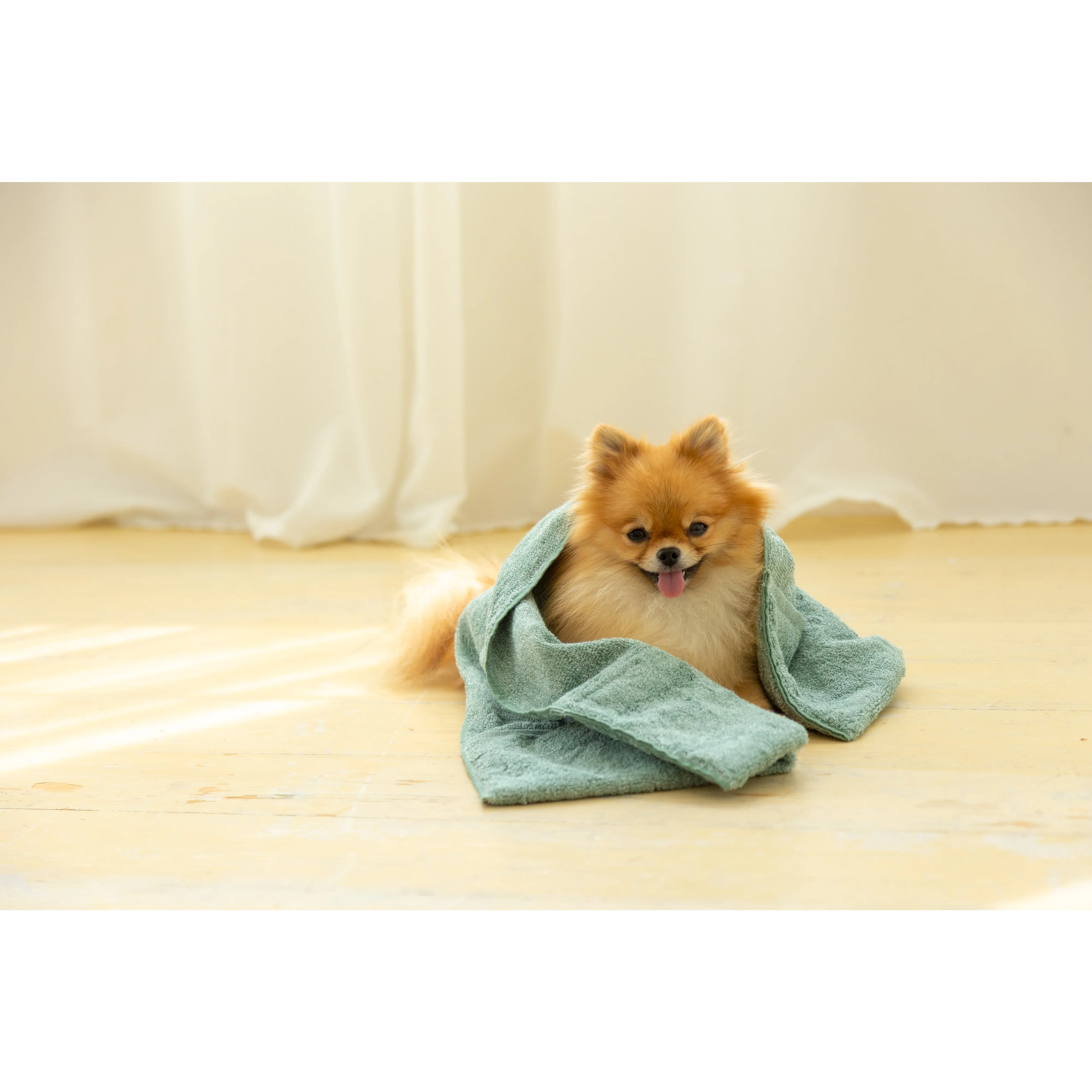 Jogan Pet Towel Super Absorbant Bath Towel for Pets Green 34×78cm - Image 4