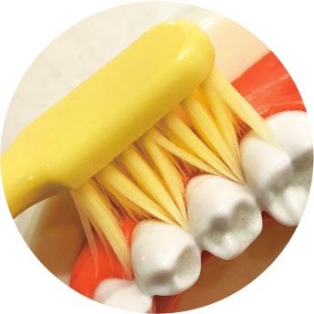 Life Range Narrow Head Toothbrush Ultra Fine High Density Medium Bristles - Image 3