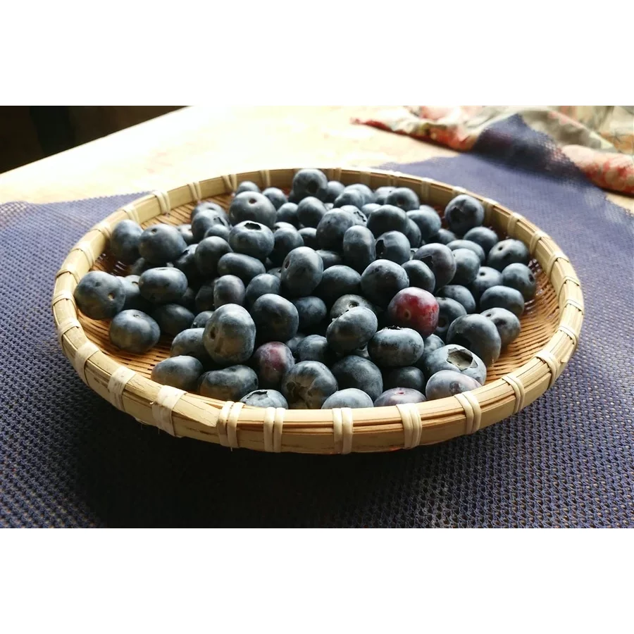 Marushige Blueberry Premium Drinking Vinegar 500ml - Image 3