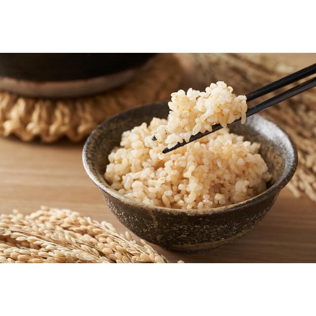 Organic Koshihikari Genmai Rice Japanese Brown Rice 2kg - Image 3